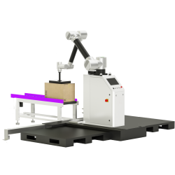 Cobot Palletizer 30 kg